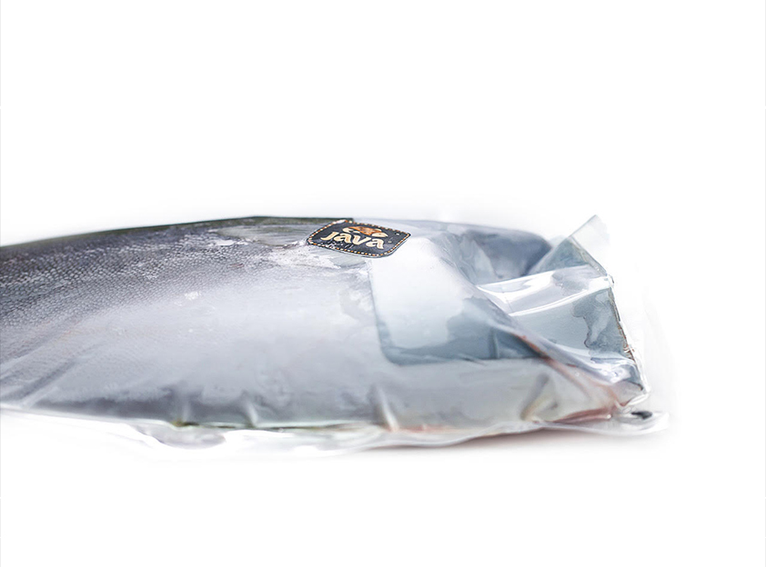 YELLOWTAIL FILLET | Fresh Seafood, Seafood Imports, Fish Imports ...