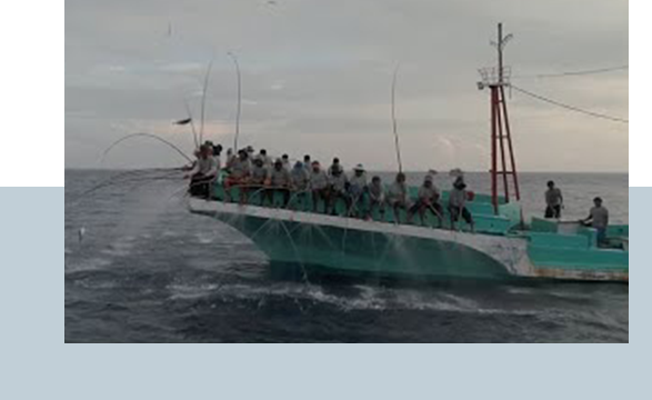 An Indonesian tuna tale: Championing sustainability